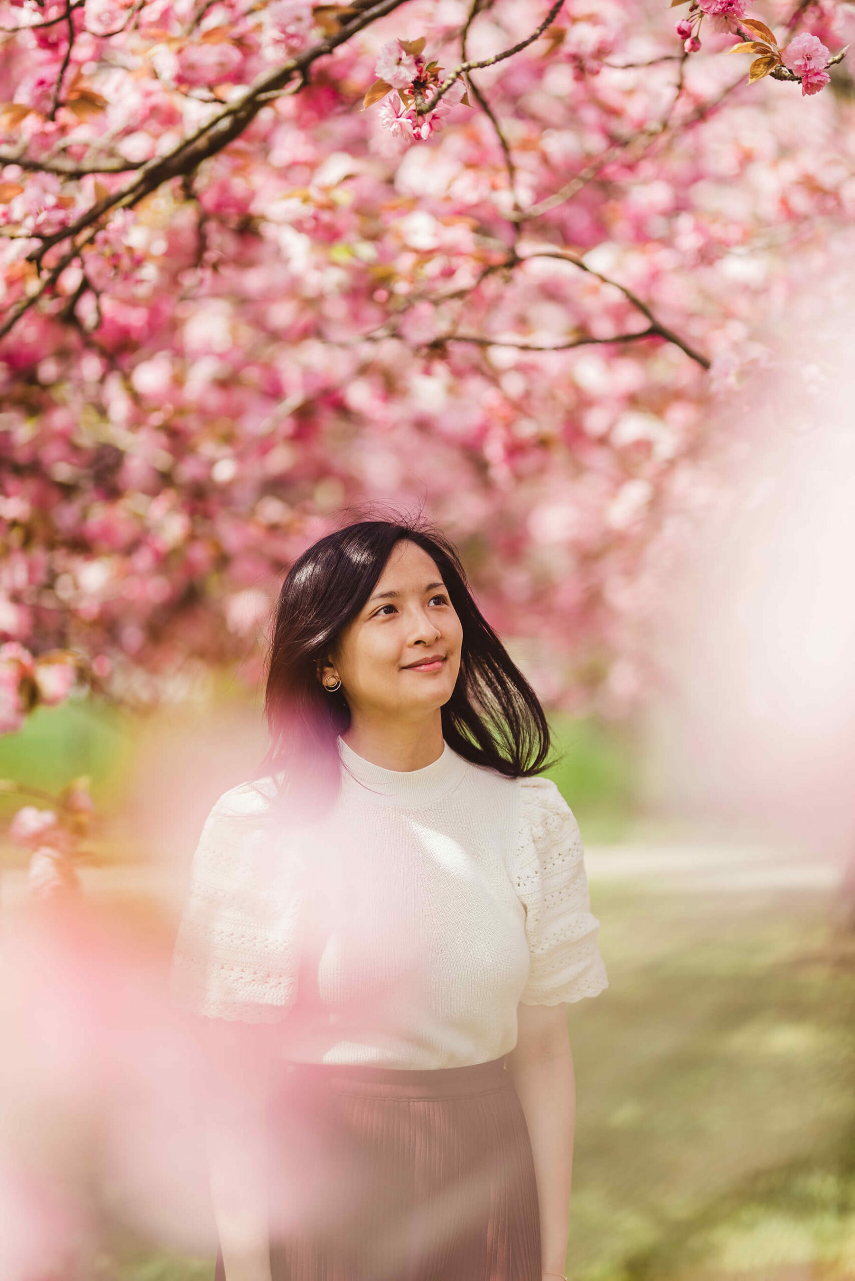 Lanternes japonaises au Parc de Sceaux