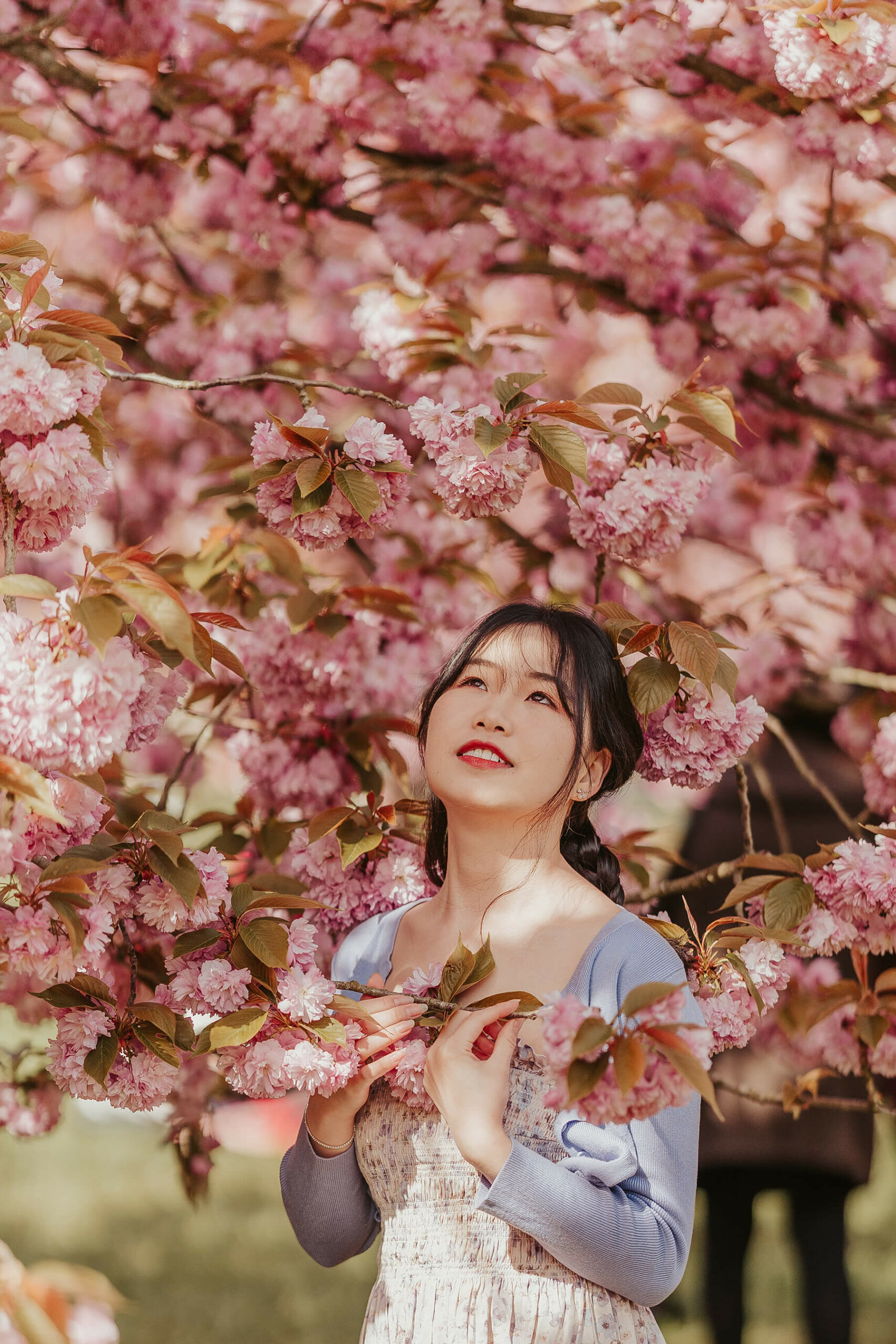 Portrait sous les cerisiers