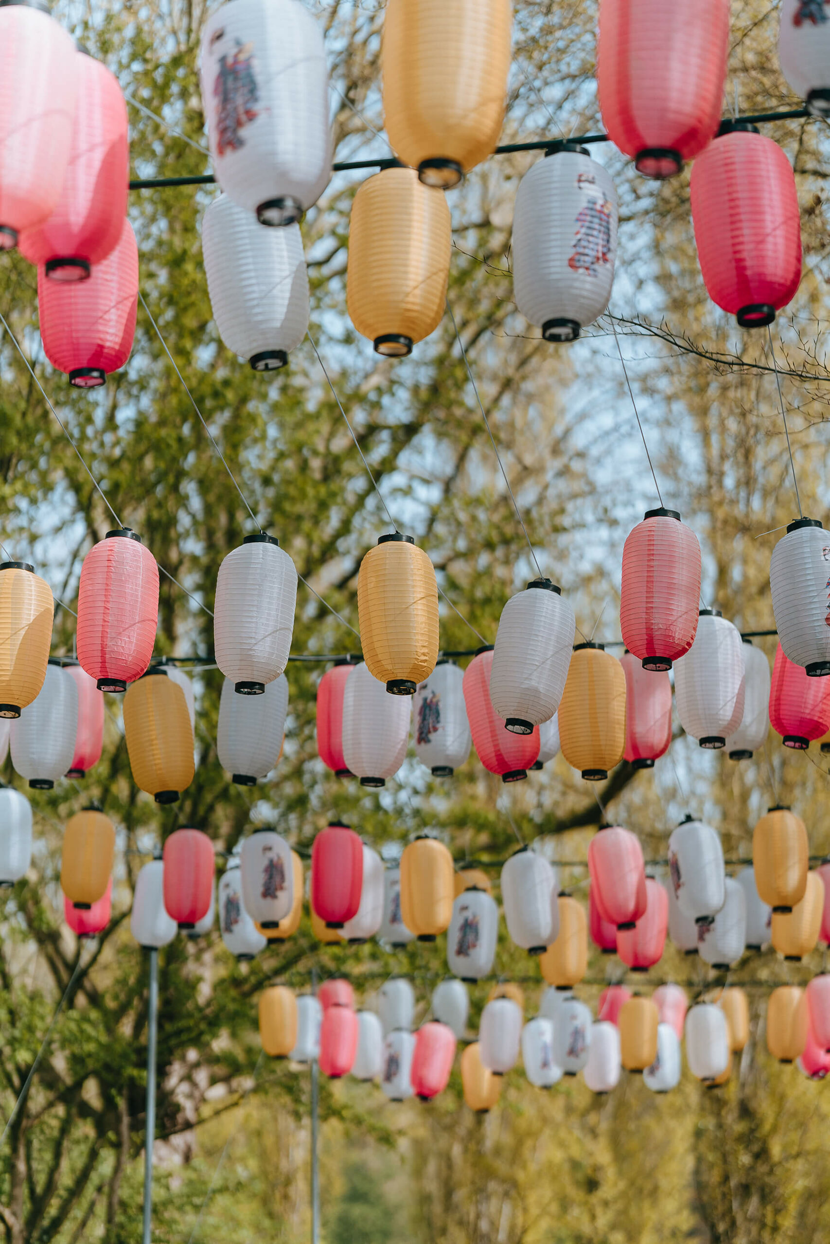 Lanternes japonaises